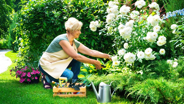 Woman using garden tools to trim bush edges, showcasing precision gardening techniques for a well-maintained and attractive garden landscape.