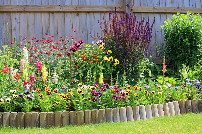 Colour Psychology in Garden Design: How to Choose the Right Hues