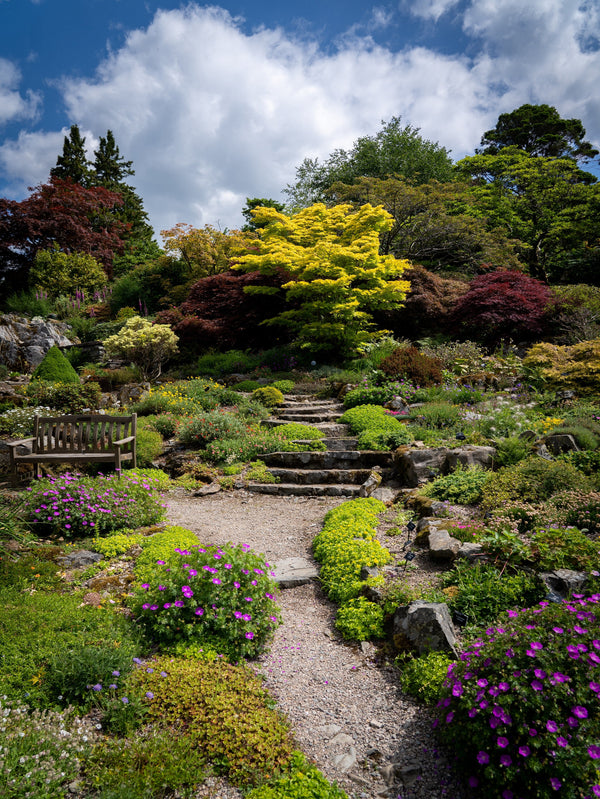Luxury Garden Trends: The Latest Innovations in Landscaping and Design