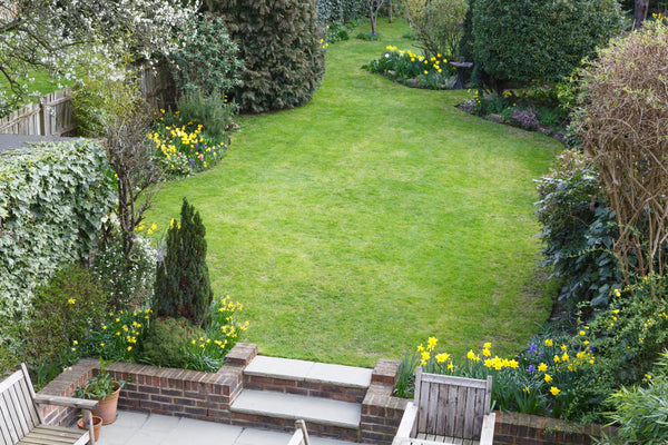 10 Tips for Starting a Home Garden